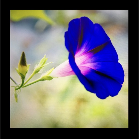 Bundle & Make Offer - Picture 2 of 4